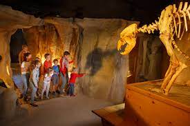 Musée de l'ours des cavernes à Entremont-le-Vieux